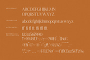 Realife Moment Modern Serif Font, a Serif Font by Letterena Studios (Thumbnail 13 of 15)