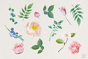 Paeonia, an Illustration by TheSeventhDesire (Thumbnail 4 of 4)