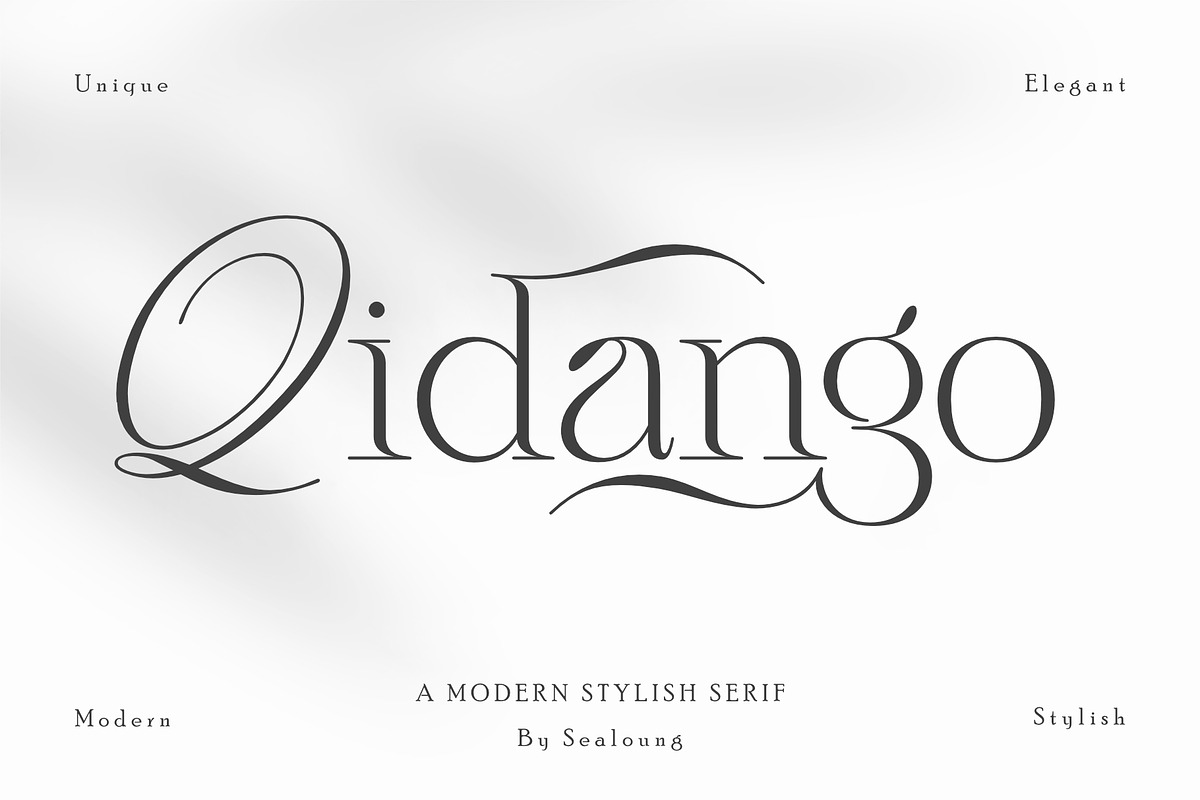 Qidango, a Serif Font by Sealoung (Photo 1 of 17)