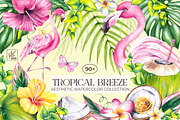 Tropical Breeze Clipart & Patterns, a Seasonal Illustration by SashaKondr (Thumbnail 1 of 13)