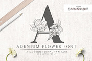 Adenium Font + Gold & Rose Gold Foil, a Sans Serif Font by Graphicfresh (Thumbnail 1 of 8)