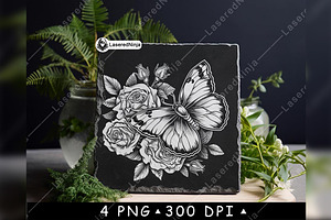 Butterfly Roses Flowers Bloom Insect