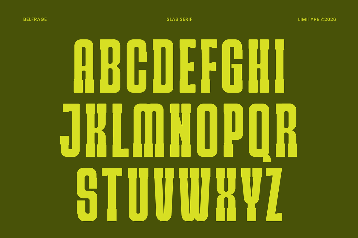 Belfrage - Slab Serif Font, a Slab Serif Font by limitype (Photo 6 of 10)