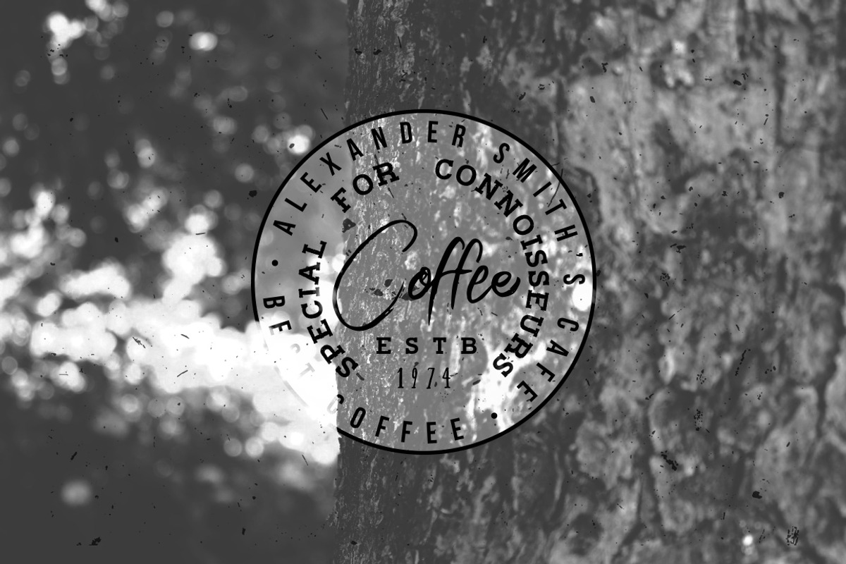 100 VINTAGE LOGO TEMPLATES, a Branding & Logo Template by Roman Paslavsky (Photo 11 of 25)