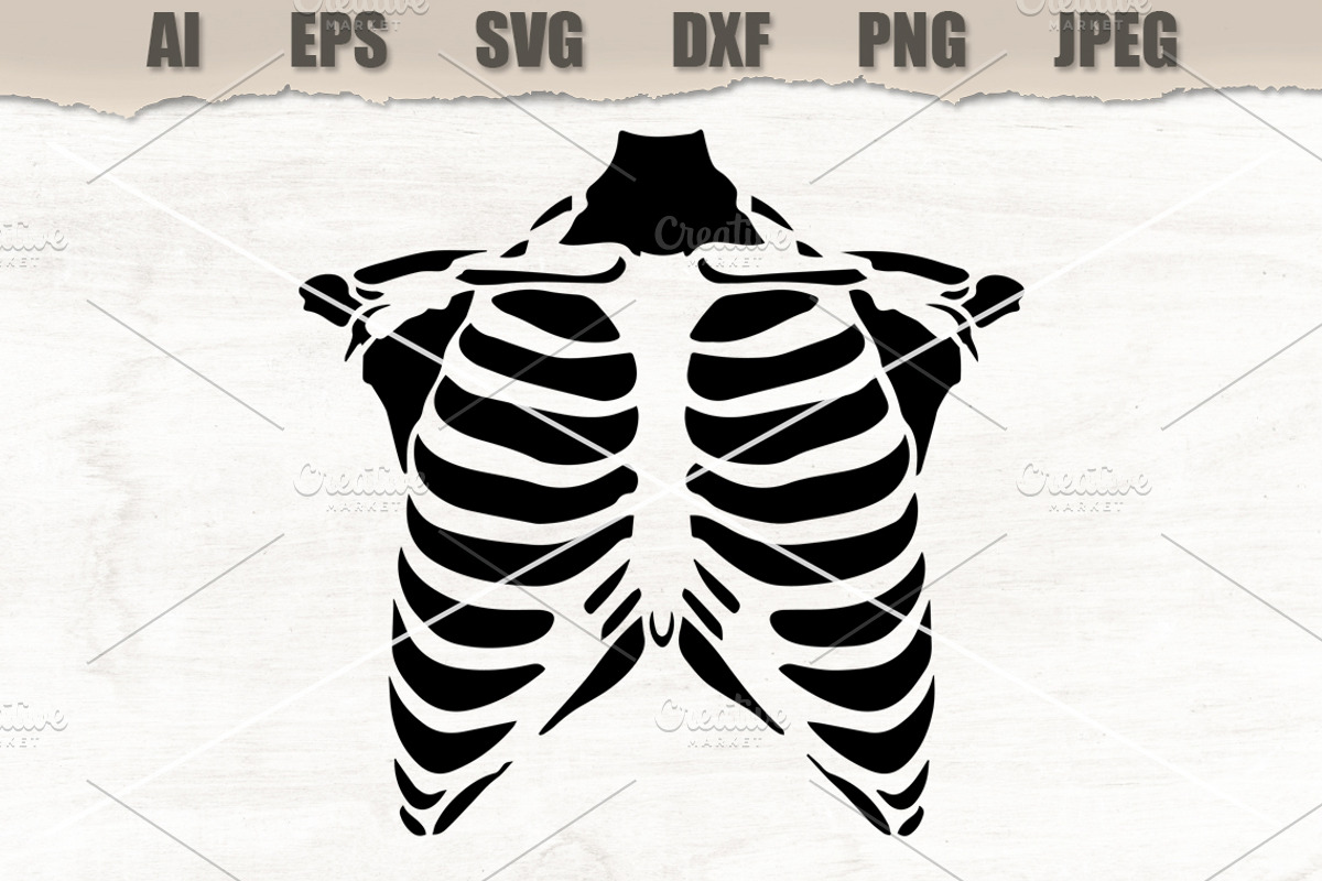 Stencil Human Rib Cage, a Decorative Illustration by MARYCRAFTIRIA (Photo 1 of 3)