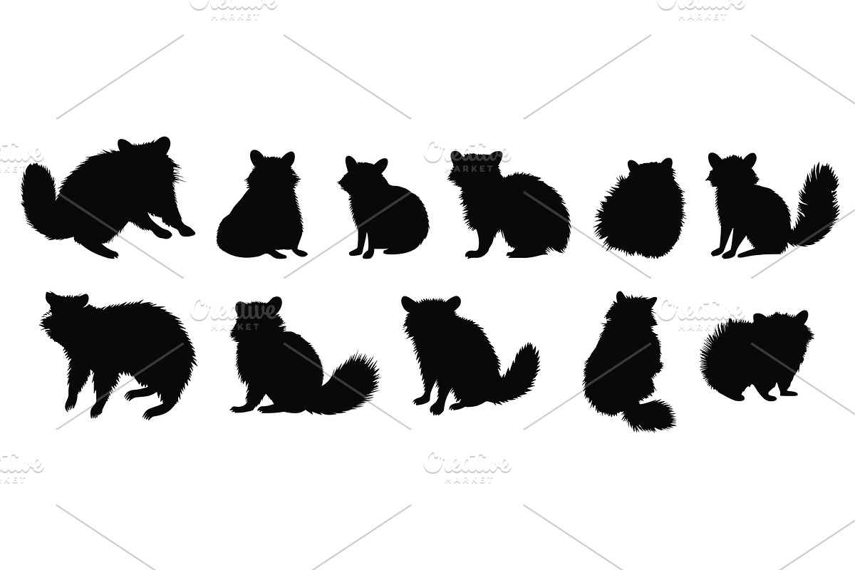 Raccoon black silhouettes. Fluffy, an Object Illustration by Valerie Bodnar