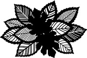 Botanical Leaf Silhouette, an Object Graphic by Creativeshirt (Thumbnail 8 of 19)