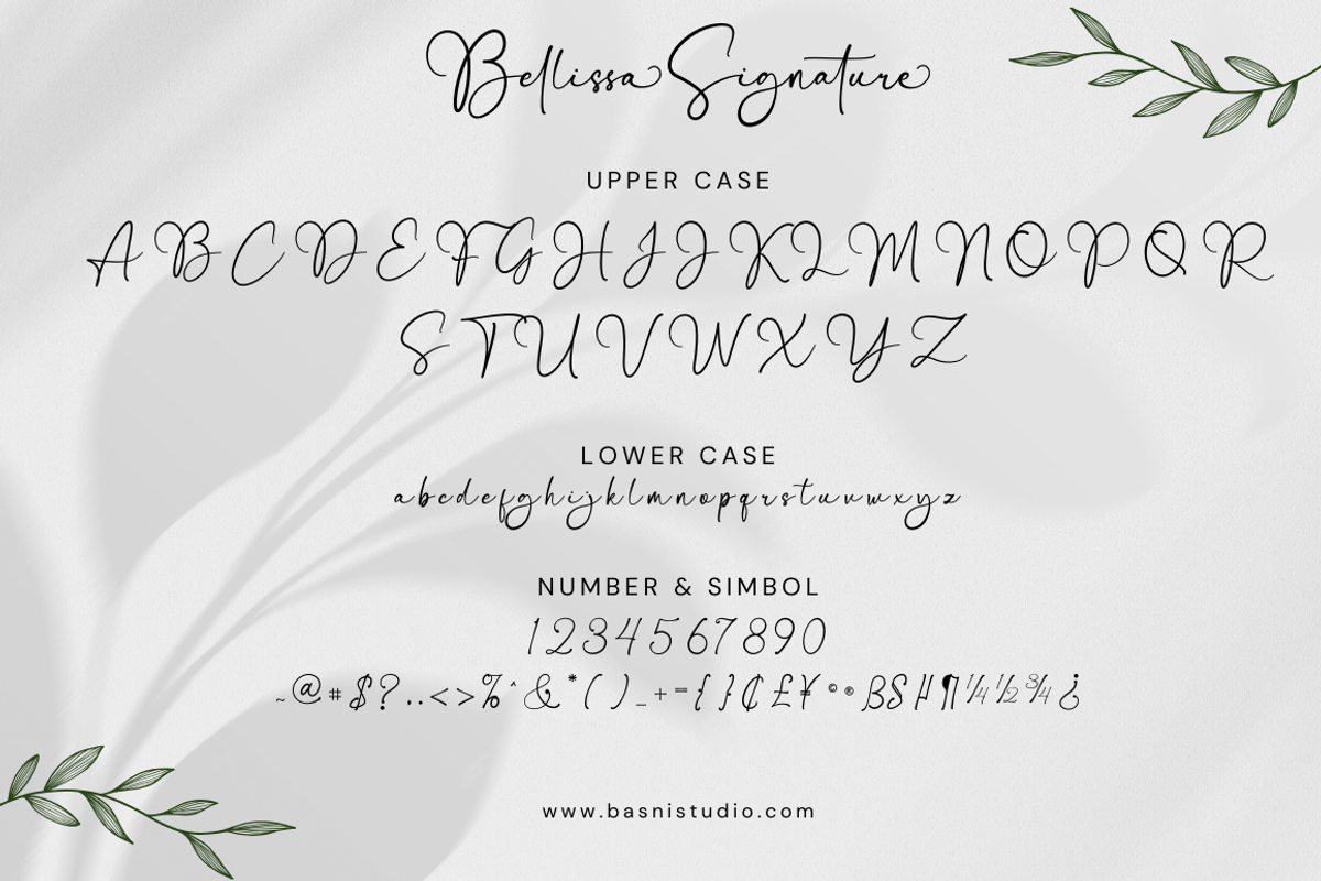Bellissa Modern Signature Font, a Script Font by Basnistudio (Photo 8 of 10)