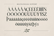 Luma Botanica - Modern Serif Font, a Serif Font by overlaytemplates (Thumbnail 5 of 5)