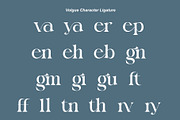Volgue Modern Serif Font, a Serif Font by Alfinart (Thumbnail 7 of 10)