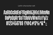 ChellyBinsk - Bold Condensed, a Sans Serif Font by Vicky's Place (Thumbnail 2 of 8)