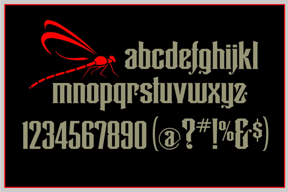Dragonfly, a Font by Art And Sign Unlimited (Photo 4 of 4)