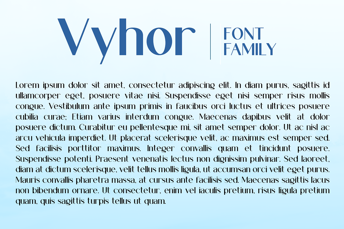 Vyhor font family, a Sans Serif Font by vlad.berla (Photo 6 of 8)