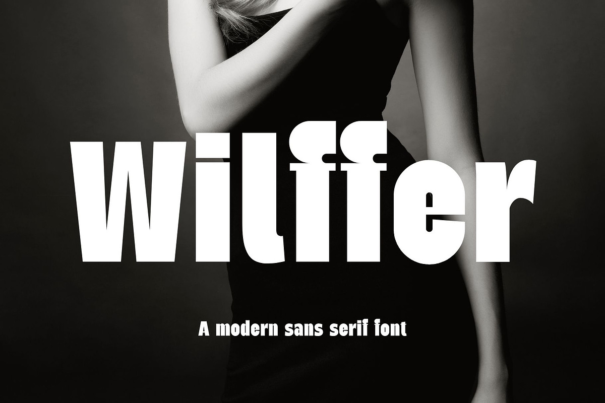 Wilffer Modern Sans Serif Font, a Sans Serif Font by Graphicxell (Photo 1 of 9)