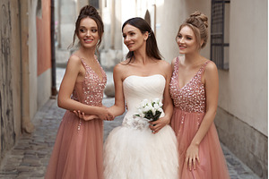 Beautiful bride and bridesmaids