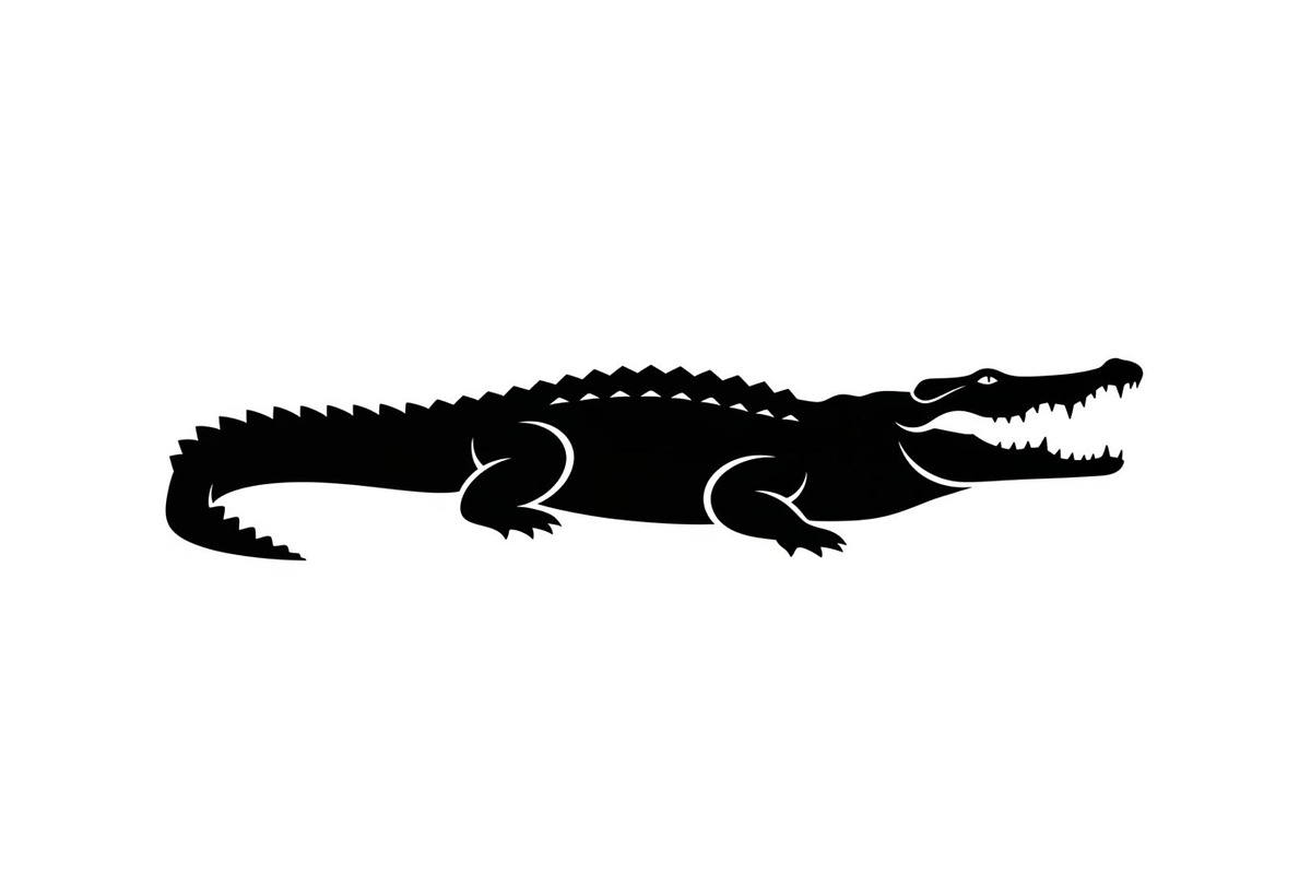 Crocodile Alligator Vector Bundle, an Illustration by jahid234 (Photo 25 of 51)