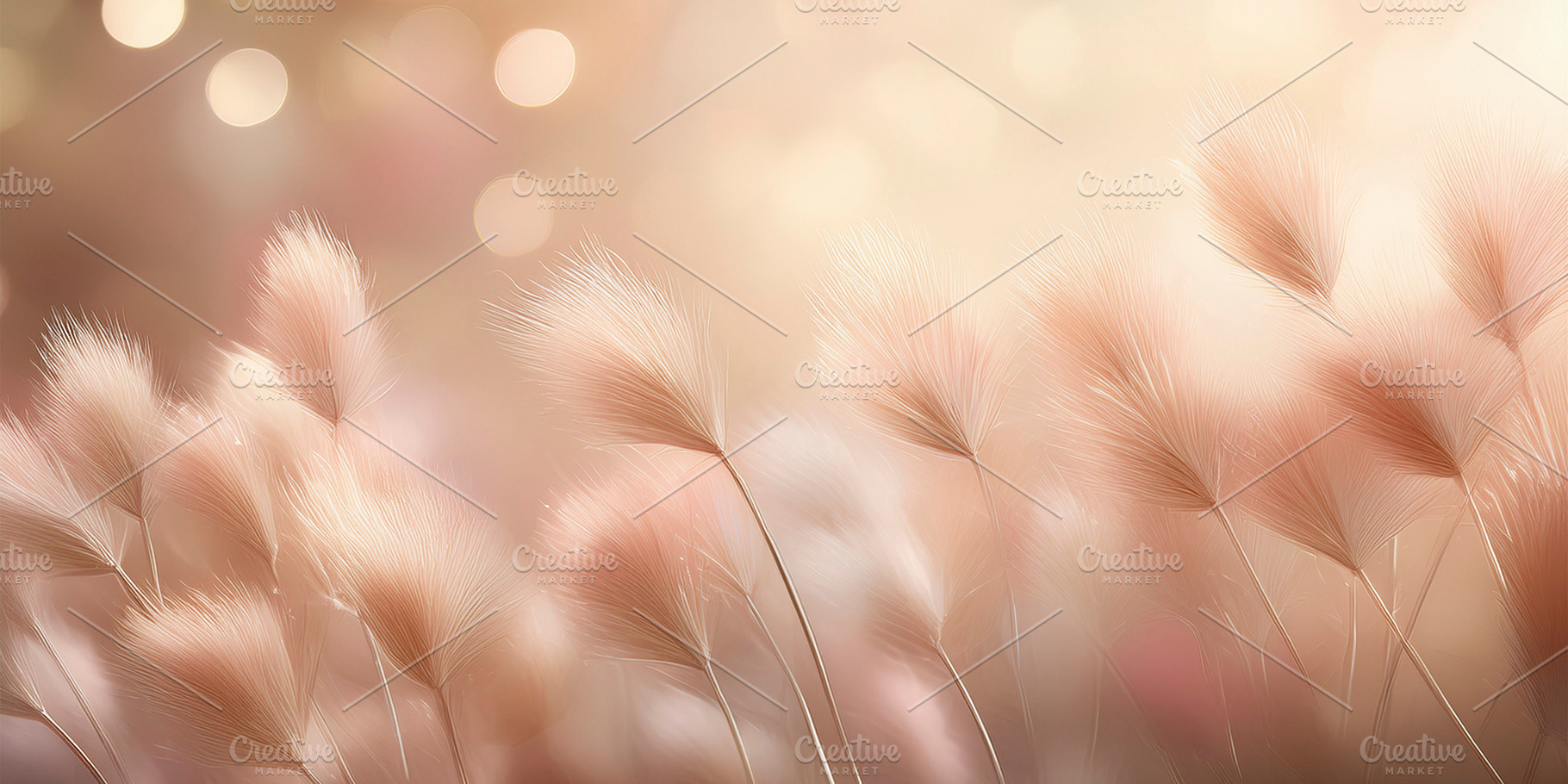 Close-up of delicate fluffy grass, an Abstract Photo by Edalin's Store