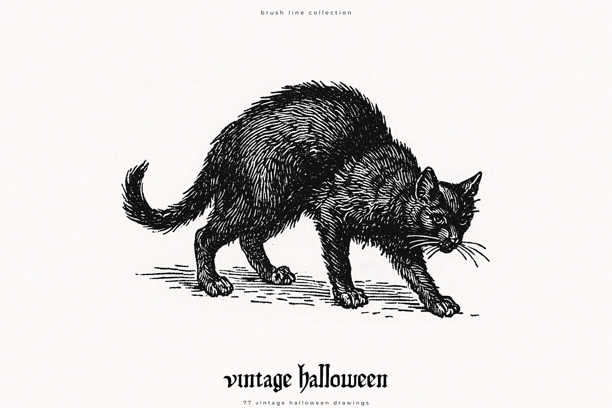 Vintage Halloween Drawings, a Seasonal Illustration by PeDe Designs (Photo 11 of 12)