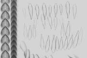 Dragon Brush Pack, a Brush Add-On by vurdembrushes (Thumbnail 2 of 2)