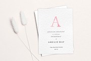 Pink Alphabet Clipart, ABCs, PNG, an Object Illustration by Wild Honey Design Co. (Thumbnail 3 of 3)