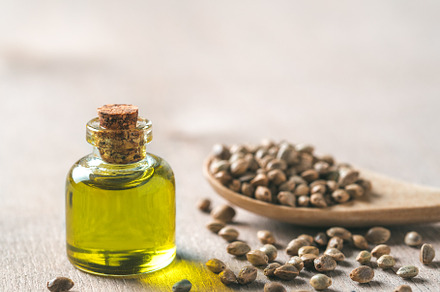 Hemp seeds and hemp oil copy space stock photo containing hemp and oil, a Food & Drink Photo by Fascinadora