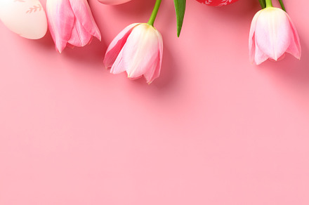 Happy Easter vertical banner template. Flat lay tulips flowers and colorful Eas, a Holiday Photo by photoguns