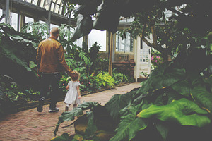 Walk in the Conservatory
