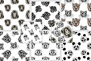 Animal Faces, an Animal Illustration by Ecaterina Sciuchina (Thumbnail 7 of 7)