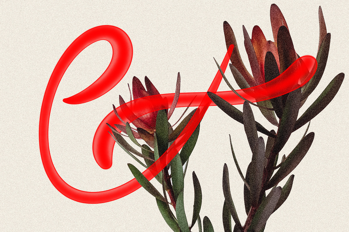 Royal Summer - Cool Display Typeface, a Sans Serif Font by SilverStag Type Foundry (Photo 8 of 18)