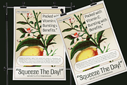 UT Doangs - An Ornament Display Font, a Sans Serif Font by Universitype (Thumbnail 11 of 15)