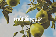Green Apple - Vintage Sans Serif, a Sans Serif Font by Schrifted Type (Thumbnail 8 of 8)