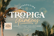 Tropica Gardens - Font Trio (+LOGOS), a Script Font by Sarid Ezra (Thumbnail 1 of 19)