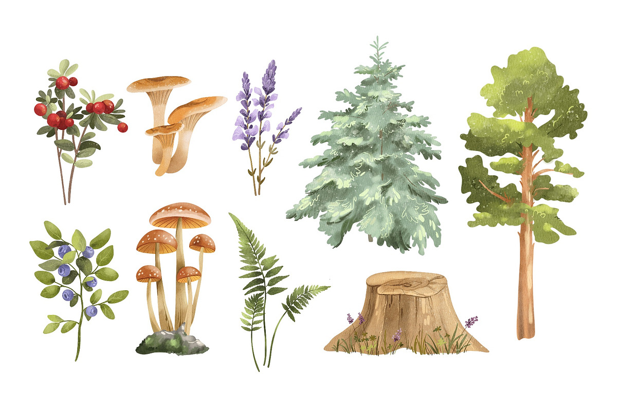 Watercolor Woodland Animals, an Animal Illustration by ArtGiftsStudio (Photo 4 of 5)