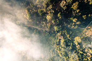 Forest and fog in the morning, high angle view, a Nature Photo by Art Rachen