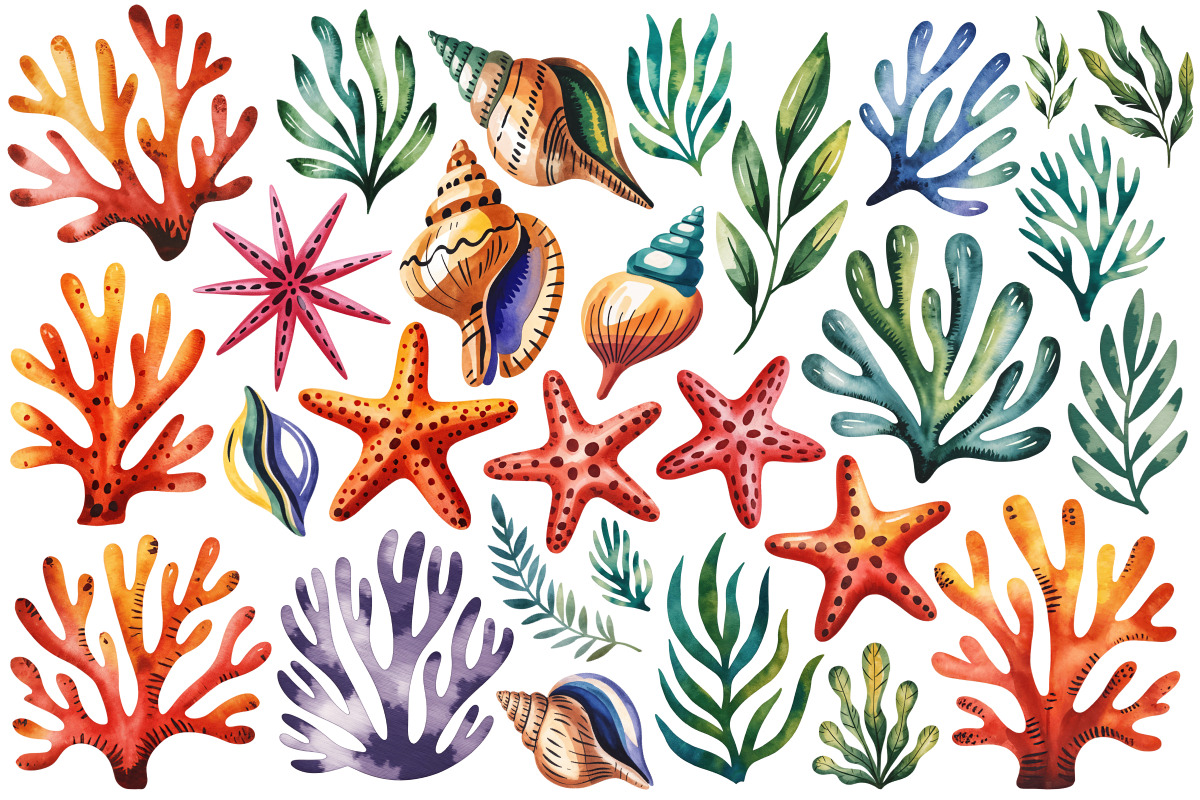 Watercolor Sea Shells & Coral Set, an Object Illustration by Whimsy Brush Studio (Photo 6 of 9)