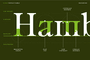 Ultion, a Serif Font by Typogama (Thumbnail 4 of 16)