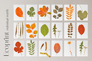 Ecoprint, a Pattern Graphic by Kate Demyanovska (Thumbnail 15 of 15)
