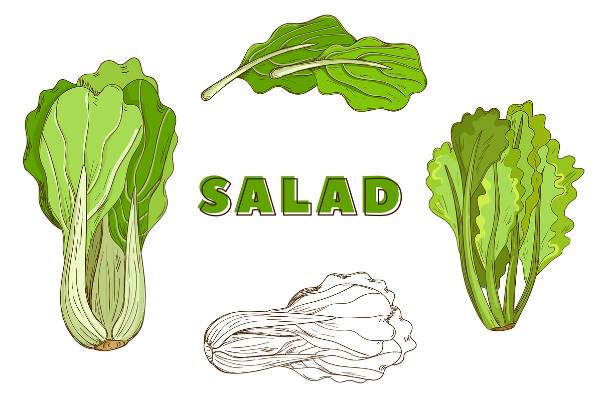 Vegetables in the Vintage Style, a Healthcare Illustration by Alfazet Chronicles (Photo 7 of 15)