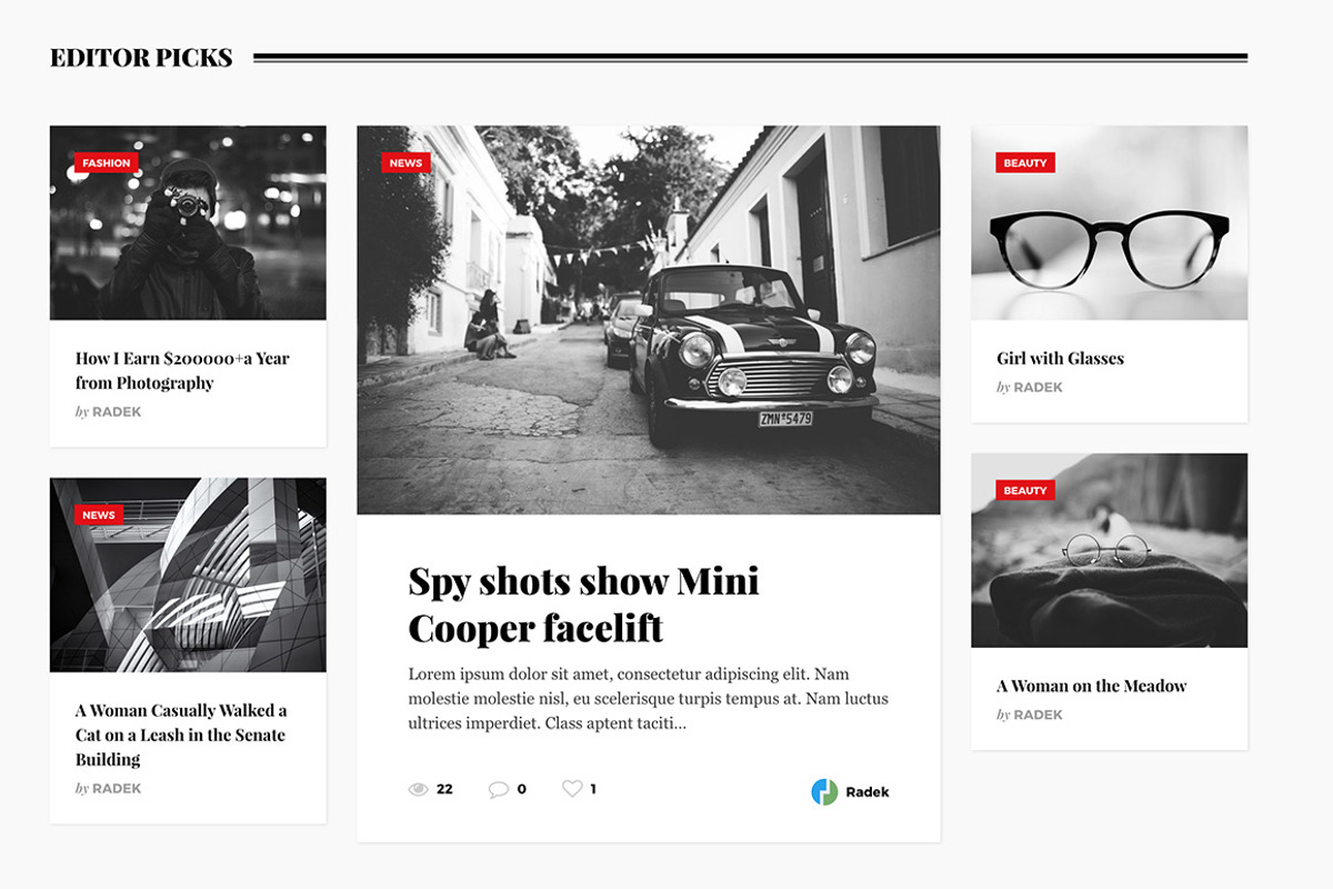 Featured WordPress Theme, a WordPress Template by Theme Junkie (Photo 2 of 4)