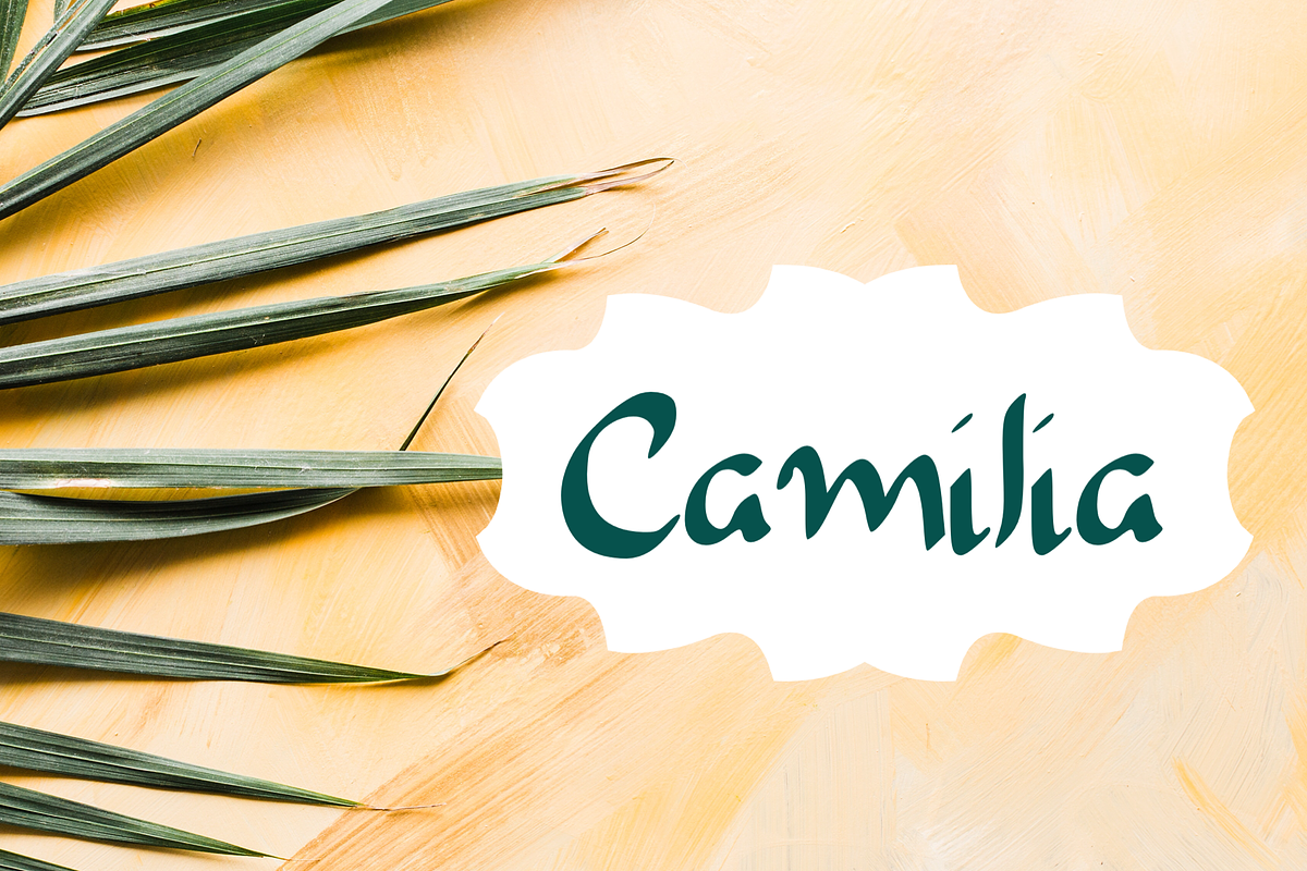 Camilia - Handwritten Script Font