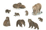 Brown bears - watercolor collection, an Animal Illustration by ramika (Thumbnail 2 of 4)