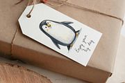 Penguin Clipart Graphics, an Animal Illustration by PaintPixelCo (Thumbnail 9 of 10)