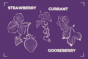 BERRY LINE ART SET (20 elements), a Food Illustration by Bonfloret Studio (Thumbnail 2 of 9)