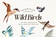 Watercolor Birds Clipart Set, an Animal Illustration by Mia Digital (Thumbnail 3 of 5)