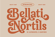 Bellati Nortils Groovy Serif Font, a Serif Font by timelesstype.co (Thumbnail 1 of 20)