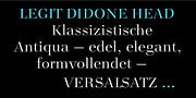 Legit Didone Head, a Serif Font by Finaltype (Thumbnail 14 of 14)