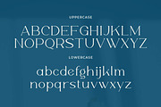 Willy Moody Elegant Serif, a Serif Font by Artiveko (Thumbnail 2 of 8)
