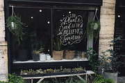The Blooming Lovely Font Duo, a Script Font by Nicky Laatz (Thumbnail 11 of 28)