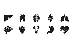 Internal Organ Anatomy Icons, an Object Illustration by Gentle Studio