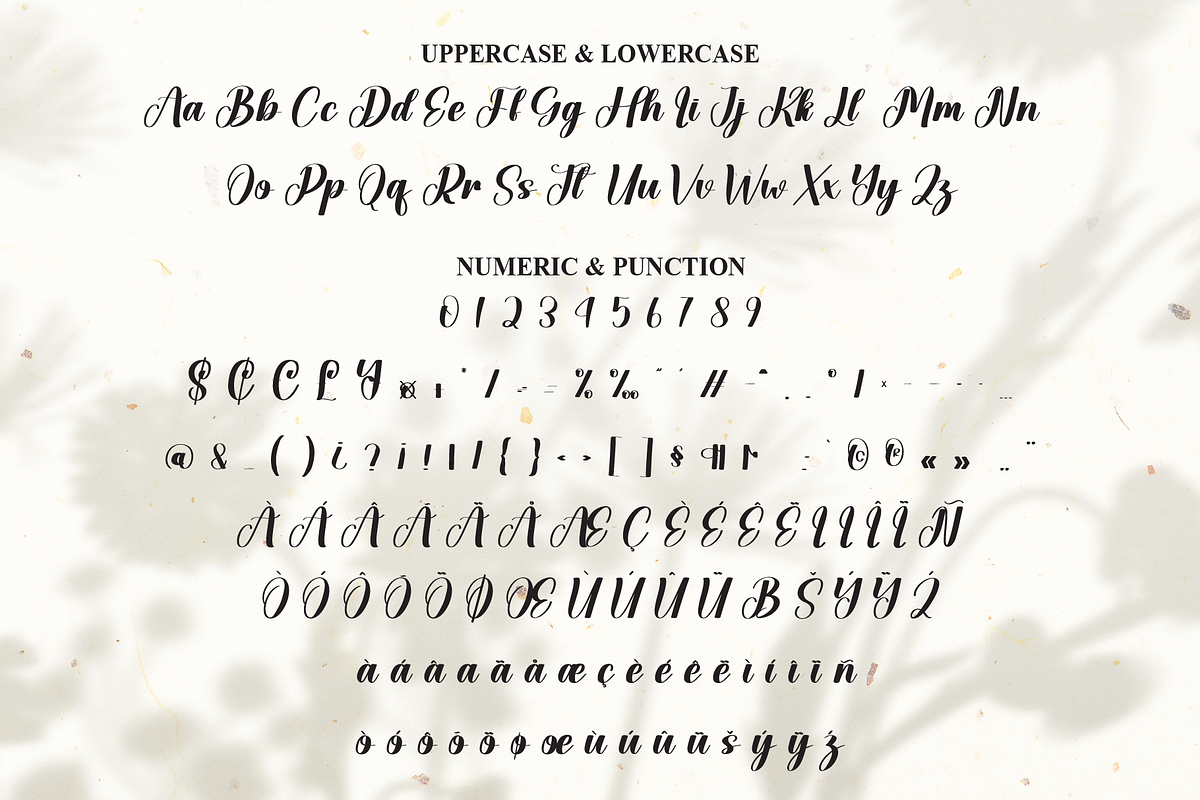 Kayla | Script Font, a Handwritten Font by Scratchones (Photo 7 of 9)